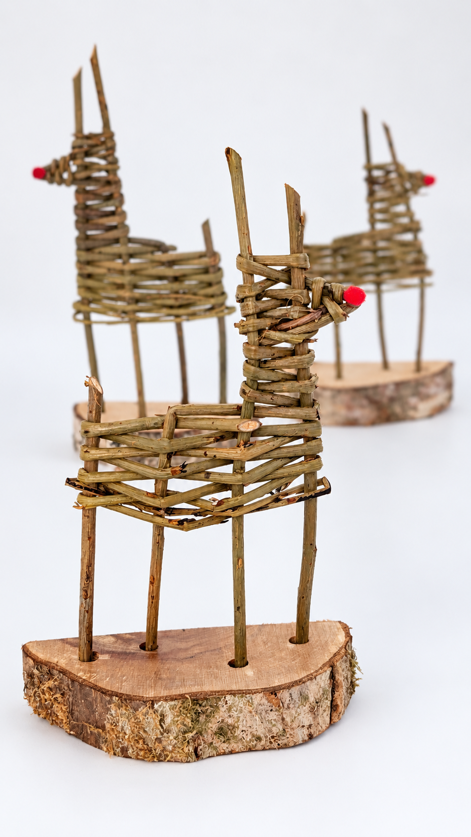Reindeer